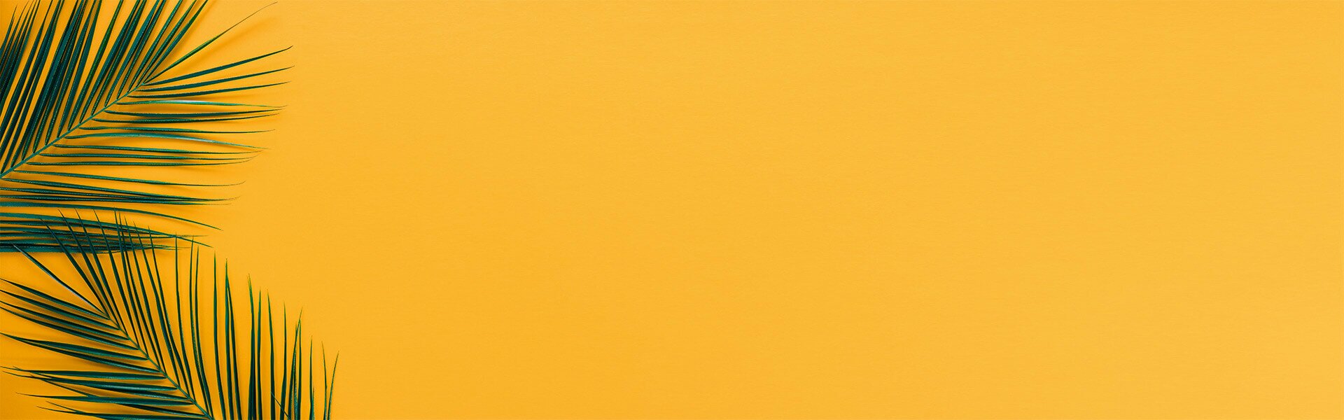 Fond jaune avec feuilles de palmier